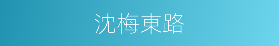 沈梅東路的同義詞