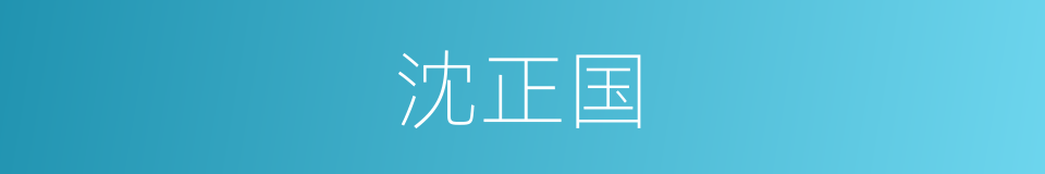 沈正国的同义词