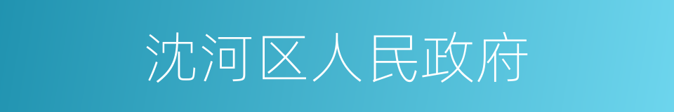 沈河区人民政府的同义词