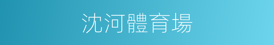 沈河體育場的同義詞