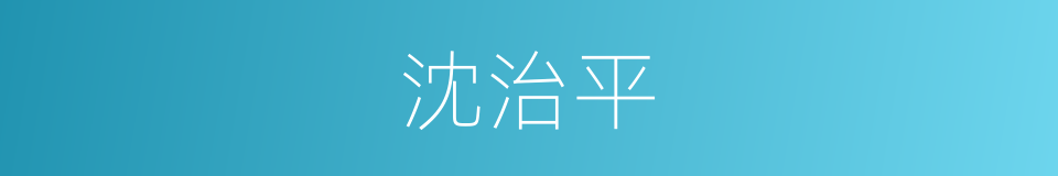 沈治平的同义词