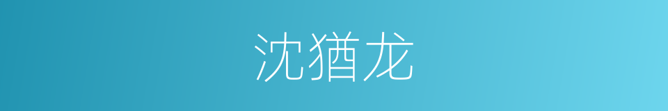 沈猶龙的同義詞