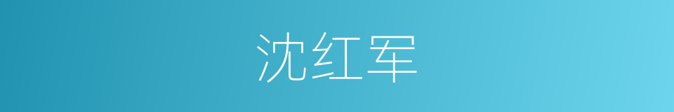 沈红军的同义词