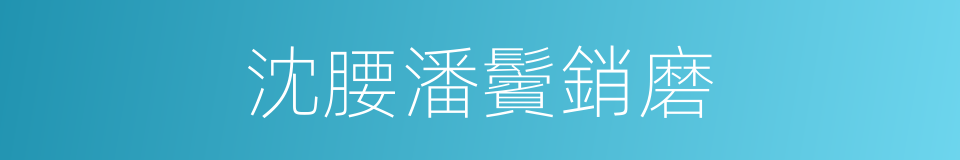 沈腰潘鬢銷磨的同義詞