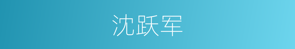 沈跃军的同义词