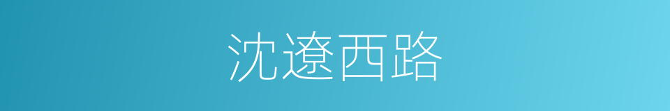 沈遼西路的同義詞