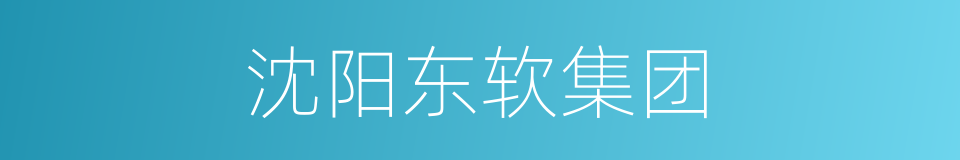 沈阳东软集团的同义词