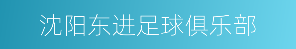 沈阳东进足球俱乐部的同义词