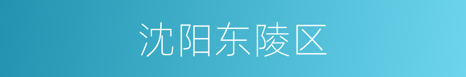 沈阳东陵区的同义词