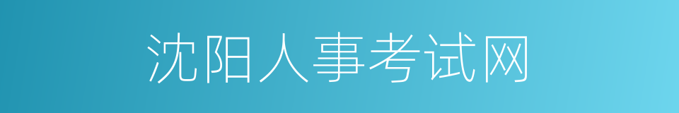 沈阳人事考试网的同义词