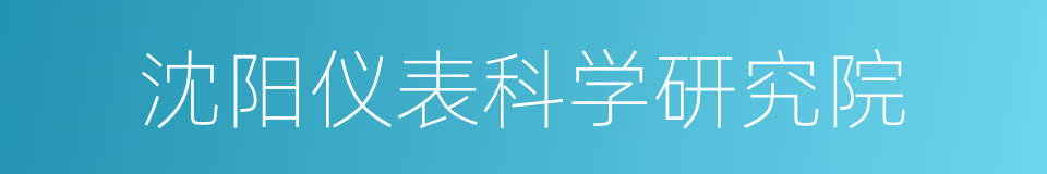 沈阳仪表科学研究院的同义词