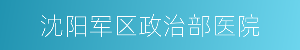 沈阳军区政治部医院的同义词