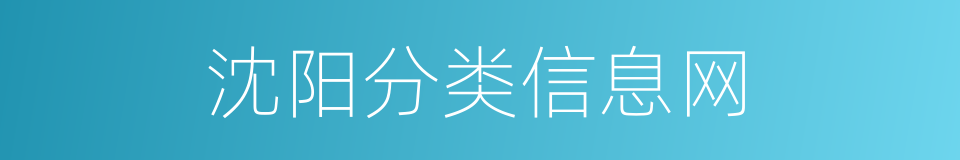 沈阳分类信息网的同义词