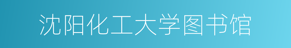 沈阳化工大学图书馆的同义词