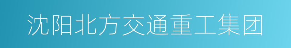 沈阳北方交通重工集团的同义词