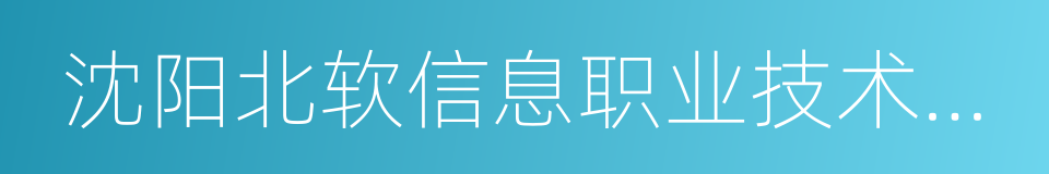 沈阳北软信息职业技术学院的同义词