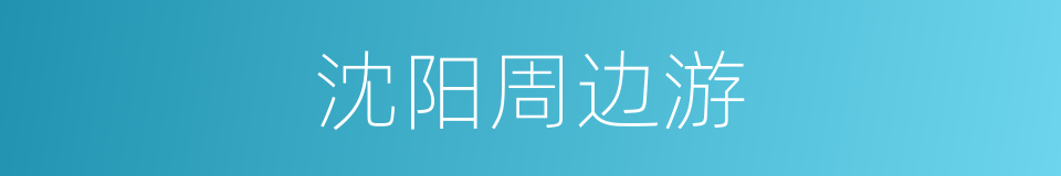 沈阳周边游的同义词