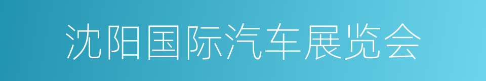 沈阳国际汽车展览会的同义词