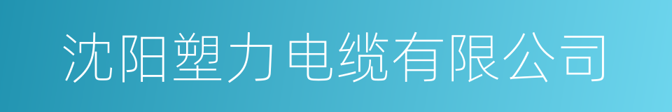 沈阳塑力电缆有限公司的同义词