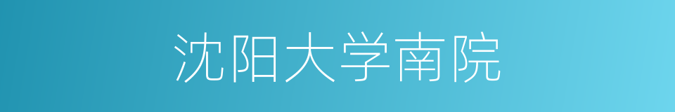 沈阳大学南院的同义词