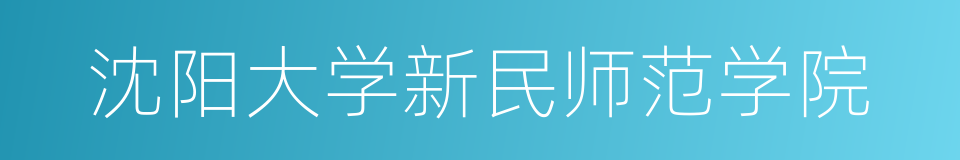 沈阳大学新民师范学院的同义词
