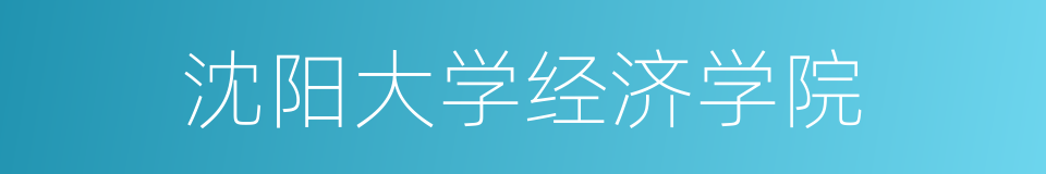 沈阳大学经济学院的同义词