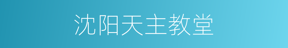 沈阳天主教堂的同义词