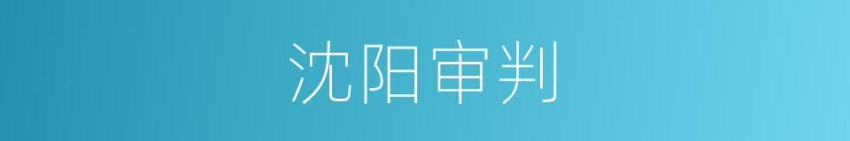 沈阳审判的同义词