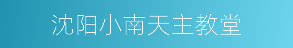 沈阳小南天主教堂的同义词