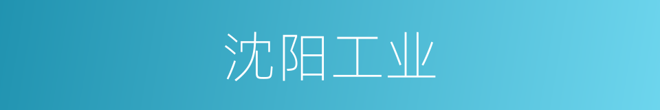沈阳工业的同义词