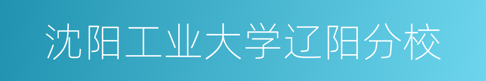 沈阳工业大学辽阳分校的同义词