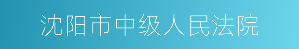 沈阳市中级人民法院的同义词