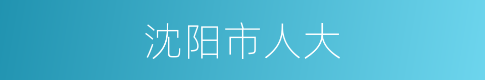 沈阳市人大的同义词
