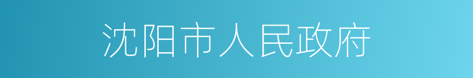 沈阳市人民政府的同义词