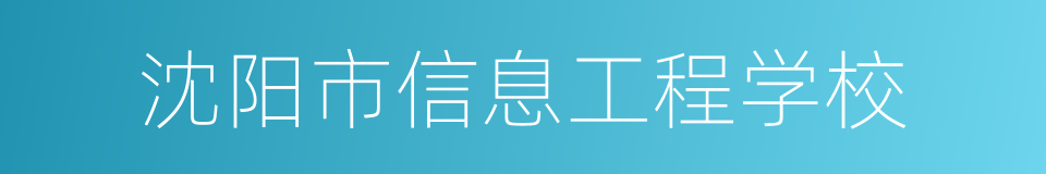 沈阳市信息工程学校的同义词