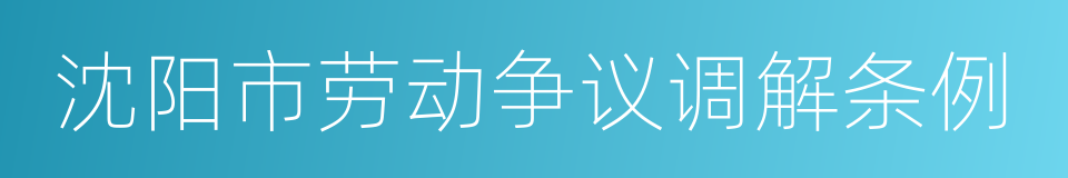 沈阳市劳动争议调解条例的同义词