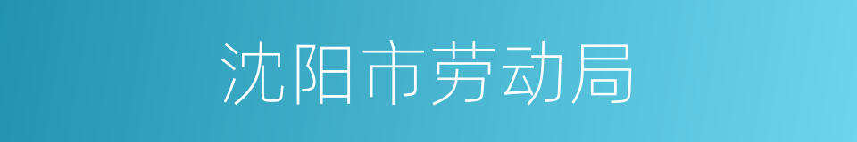 沈阳市劳动局的同义词