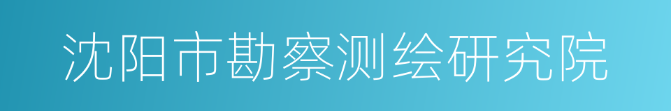 沈阳市勘察测绘研究院的同义词