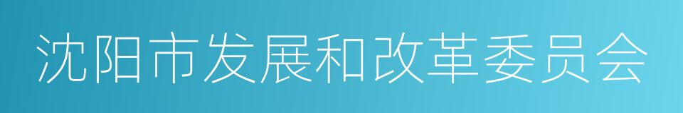 沈阳市发展和改革委员会的同义词