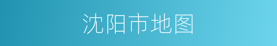 沈阳市地图的同义词