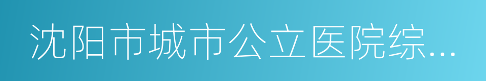 沈阳市城市公立医院综合改革实施方案的同义词