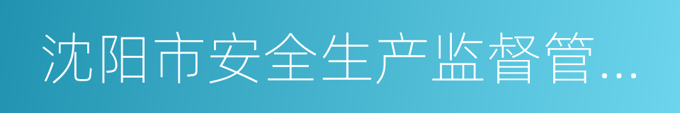 沈阳市安全生产监督管理局的意思