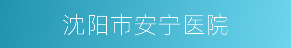 沈阳市安宁医院的同义词