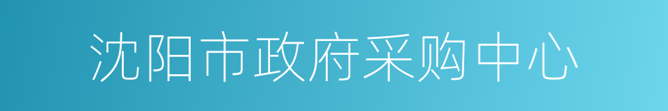 沈阳市政府采购中心的同义词