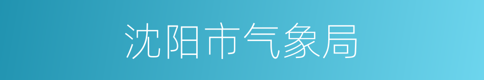 沈阳市气象局的同义词
