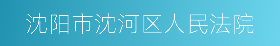 沈阳市沈河区人民法院的同义词