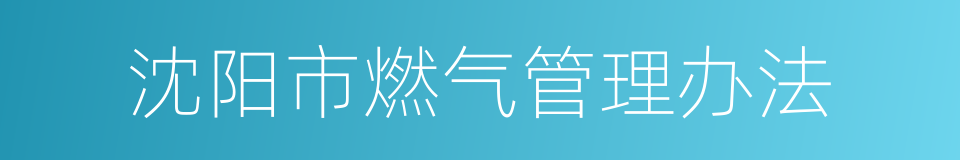 沈阳市燃气管理办法的同义词