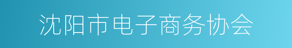 沈阳市电子商务协会的同义词