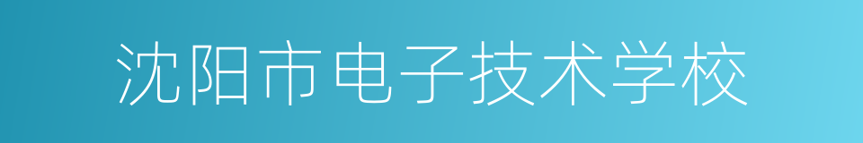 沈阳市电子技术学校的同义词