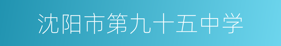 沈阳市第九十五中学的同义词